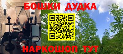 крисы Сланцы