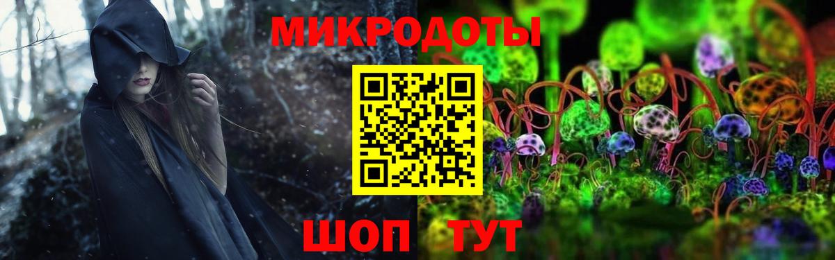 Обнинск  Галлюциногенные грибы GOLDEN TEACHER  Вход с VPN  Псилоцибиновые грибы Psilocybine cubensis 